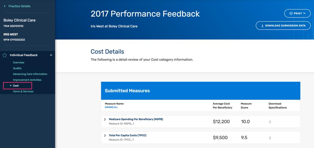 Performance information on Cost measures is provided in the final performance feedback if the case minimums are met and performance can be calculated.