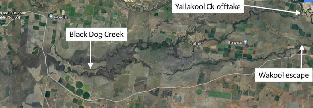Figure 2. Satellite image showing the location of Yallakool Creek Offtake, Wakool escape from Mulwala canal, and Black Dog Creek. 3.
