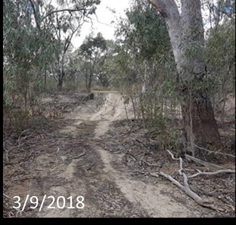 On Monday 17 th September a visual assessment of the escape from the Wakool escape from Mulwala canal was made and confirmed