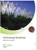 Acknowledgements Thanks to the co-authors: Adam Brown, Lew Fulton, Jana Hanova and Jack Saddler IEA Technology Roadmap - Biofuels for Transport