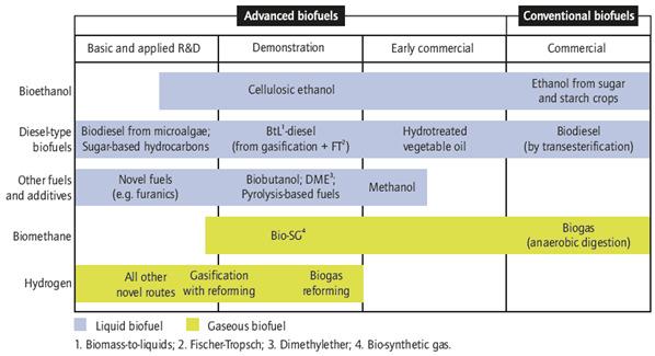 Overview on Biofuel Technologies Source: Modified from Bauen et al., 2009.