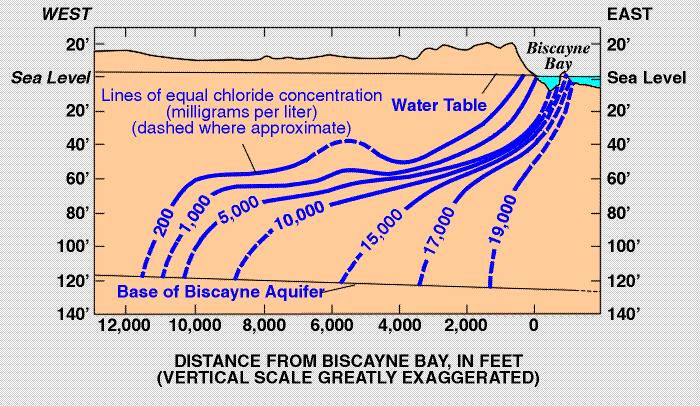 Saltwater intrusion is a result of Florida s porous geology, allowing heavier saltwater to push into freshwater aquifers Saltwater Intrusion The surficial aquifer (Biscayne) aquifer in the area of