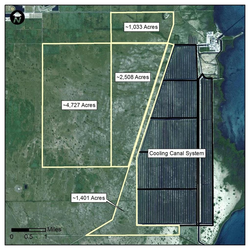 The region around Turkey Point could host environmental projects that are being successfully deployed in Florida Environmental Project Opportunities Treatment Marshes Engineered to hold water and