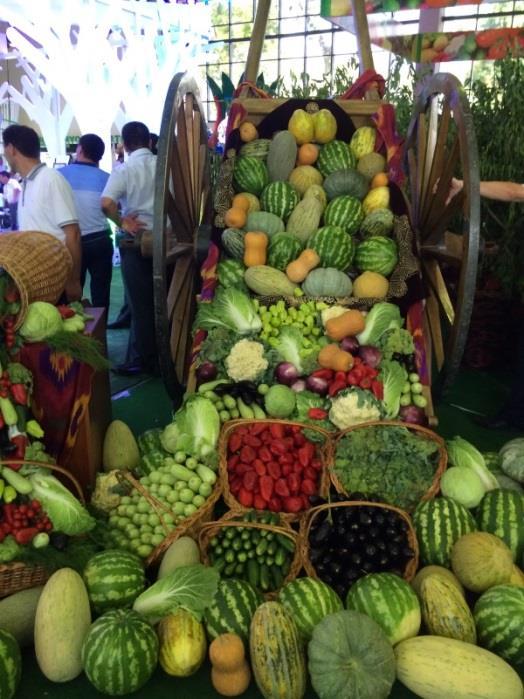 Fruits and vegetables Number of exporting enterprises rose from 147 in 2015 to 298 in 2016, while 14 new enterprises started to export their products in the first quarter of 2017.
