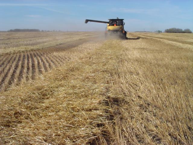 Practical Implications of Residue Removal Wheat all goes through