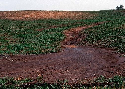 Sustainably Issues Soil Organic Matter Levels Soil Erosion Protection