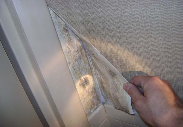 Photo 5: View of suspect mold behind wallpaper in a bathroom of Building 68.