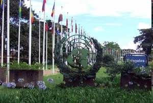 United Nations Environment Programme (UNEP) To provide leadership and