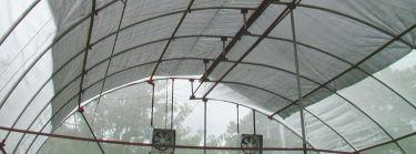 for humidity control Greenhouse structure