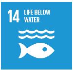 several UN Sustainable Development Goals.