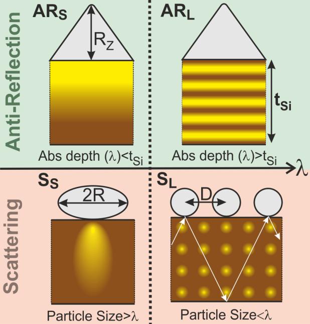 Portrait of Light trapping effects 23 Cone-like shape indexmatching with high-index Si layer Multiple reflections of light with long penetration depth Fabry-Perot interference