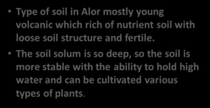 Because of Alor Has: Type of soil in Alor mostly young volcanic which rich of nutrient soil with loose soil structure and fertile.