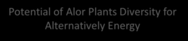 Potential of Alor Plants