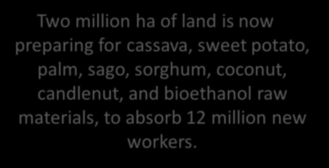 Two million ha of land is now preparing for cassava, sweet potato, palm, sago,