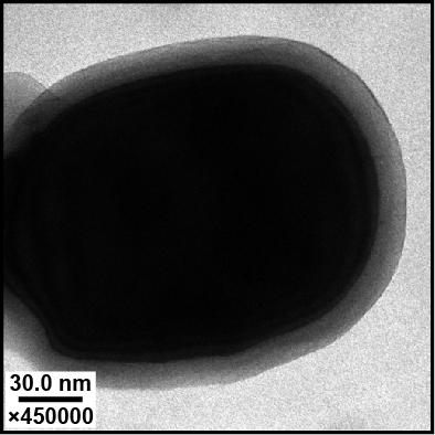 Conformal ucone MLD Film on BaTiO 3 Nanoparticles 40 Cycles 2 O 3 ALD 50 Cycles ucone MLD ~1.