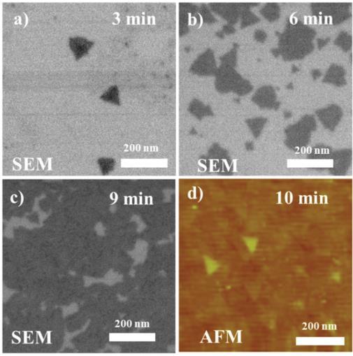 MX 2 Chemical Vapor Deposition (CVD) MX 2 crystals (lateral size ~100µm) with optical and electrical properties