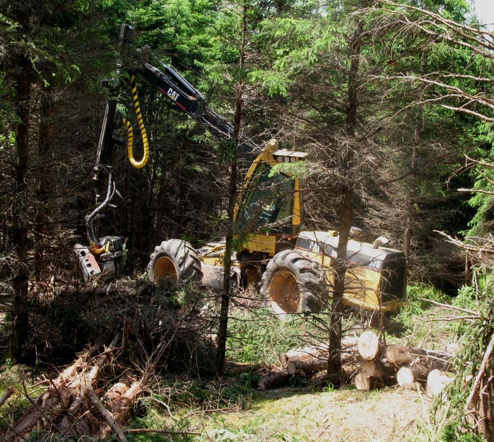 Commercial Thinning Trees are cut manually or with harvesters Wood should be extracted Balsam fir <