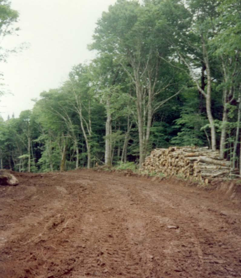 Access Roads Forest Products Association of Nova