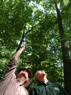 Forest Inventory & Analysis Quality of