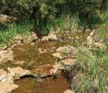 85 FEPA Wet Veg Status CR / NP Overview Wetland indicators Impacts Vegetation Soil characteristics SITE DESCRIPTION A narrow channelled valley-bottom system fed by a karstic spring (Dinokana Eye) in
