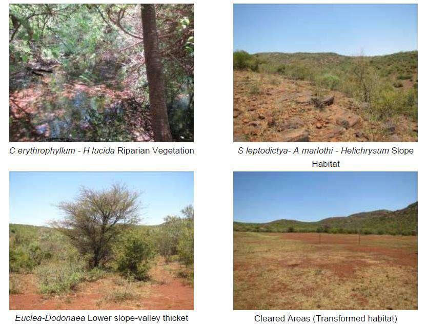 Figure 8: Photographs of the different habitats within and surrounding the site (Photos by: NSS, 2017) Basic