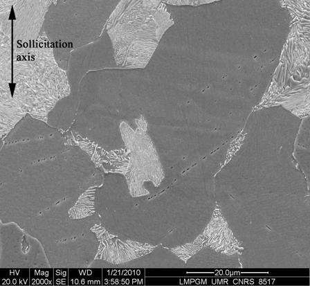 dislocation density solid solution and the pearlite grain as alloyed cementite separated by rather wide ferrite lamellas.