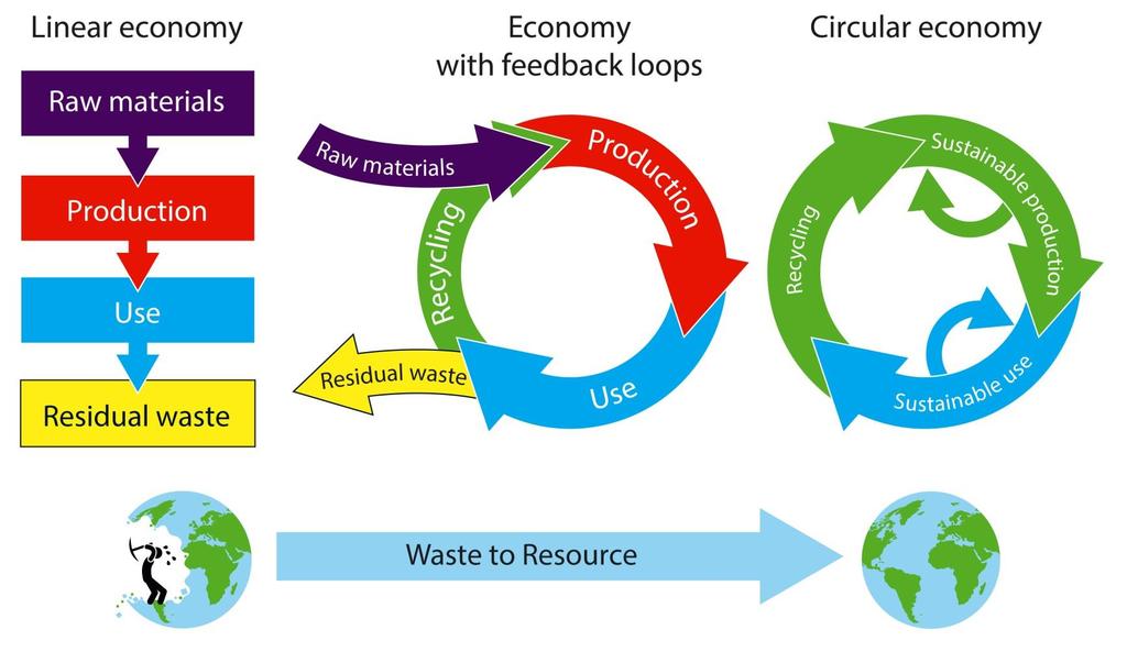 What is a circular