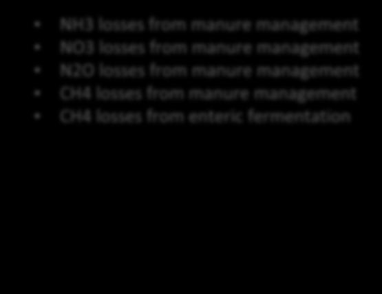 management NO3 losses from