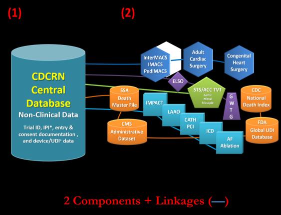 CDCRN A Reusable Infrastructure for Clinical and Regulatory Evidence Generation Laschinger JC * Identifiable Personal