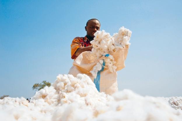 Promoting sustainable cotton globally: