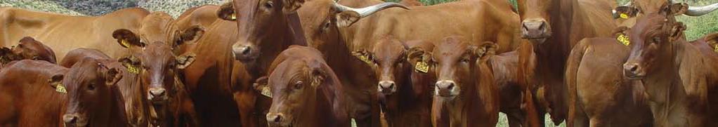 Livestock genomics in Southern Africa The Beef Genomics