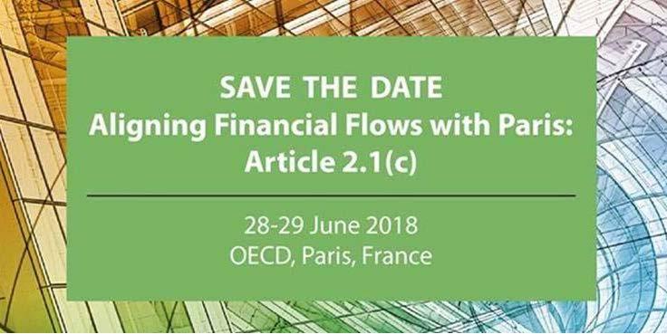 Workshop: Aligning Financial Flows with Paris Objective: discuss potential game changers and options to accelerate action for making financial flows consistent with climate