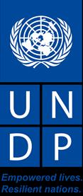 1 TERMS OF REFERENCE INTERNATIONAL CONSULTANT TO CONDUCT CAREER DEVELOPMENT, STRESS AND RELATIONSHIP MANAGEMENT FOR UNDP STAFF Job Title: Category: Duty Station: Type of contract: Expected starting