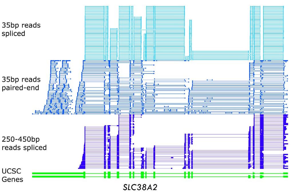 Example: Long/short RNA-Seq reads Wu, J.Q., Habegger, L. et al.