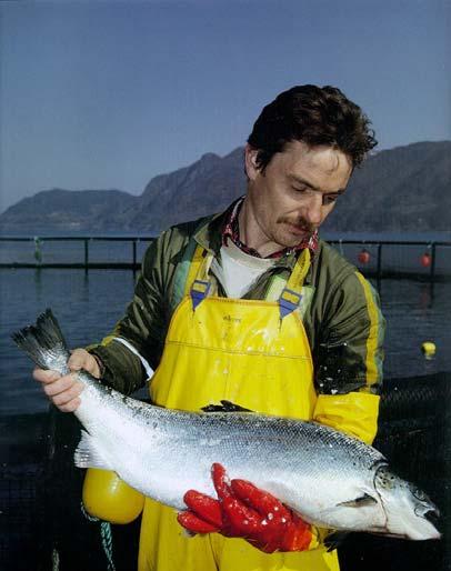 The main goals of the Norwegian Food Safety Authority The mission of the Norwegian Food Safety Authority is to promote: Safe, healthy food Healthy plants, fish and animals Ethical keeping of fish and