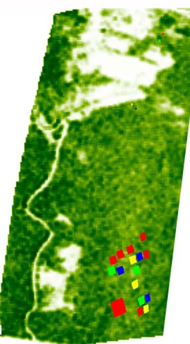 Guiana, 6 MHz data; in situ biomass =
