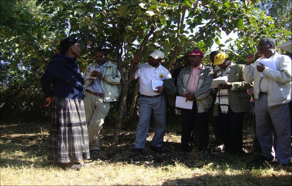 Learning and Sharing:Knowledge Dissemination and Capacity Enhancement by innovative Female Farmer In Ada a District Oromia W/ro Elfinesh Bermeji,