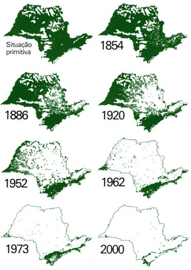 In the State of São Paulo the area covered by native forests declined from 85% in 1500 (when Brazil was discovered) to 12% in 2005.