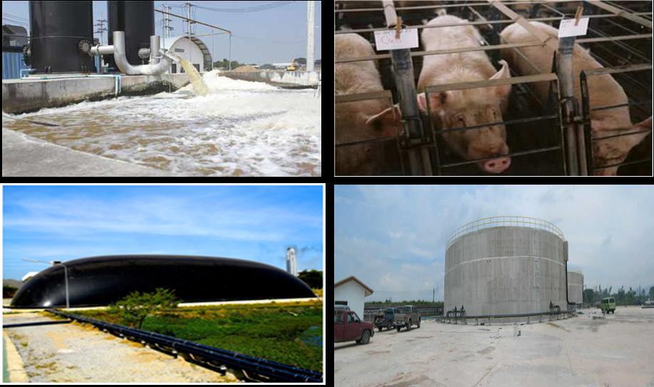 Status of Biogas Production Technologies in Thailand Updated from: The Study to Set Up Policy on Science,