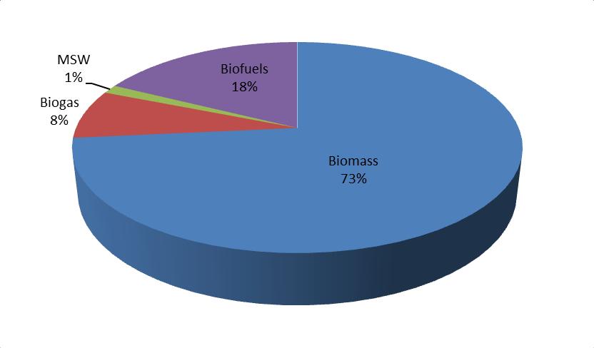 Bioenergy Development Plan Bioenergy Consumption 2012 Electricity 2,196.1 Biomass 1,960.0 Biogas 193.