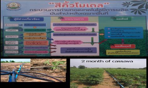 Biomass Yield Improvement Technologies In Thailand, major energy crops are cassava, sugarcane, and oil palm. Currently the demand for these crops for biomass energy is increasing.