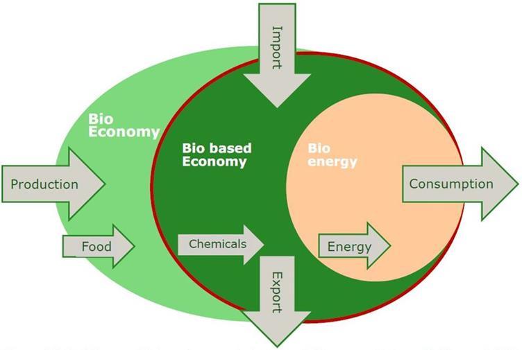 BioEconomy, Biobased Economy and