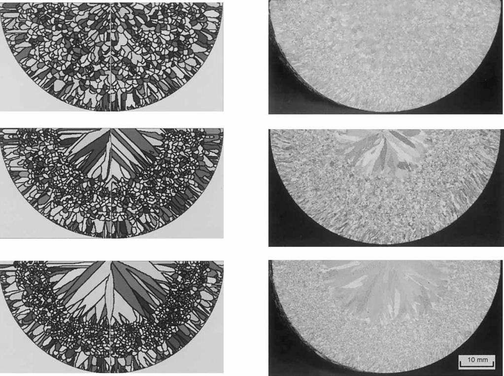 Simulation Experiment (a) (b) (c) direction of rotation Fig. 9. Comparison of the simulated and experimental macrostructures of an Al 1.