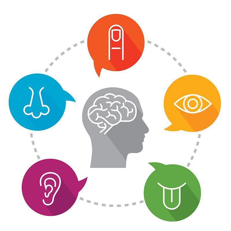 Sensory Evaluation Sensory evaluation is a method that evokes, measures, and interprets human responses to food and non-food products using the senses of sight, smell, taste, touch, and