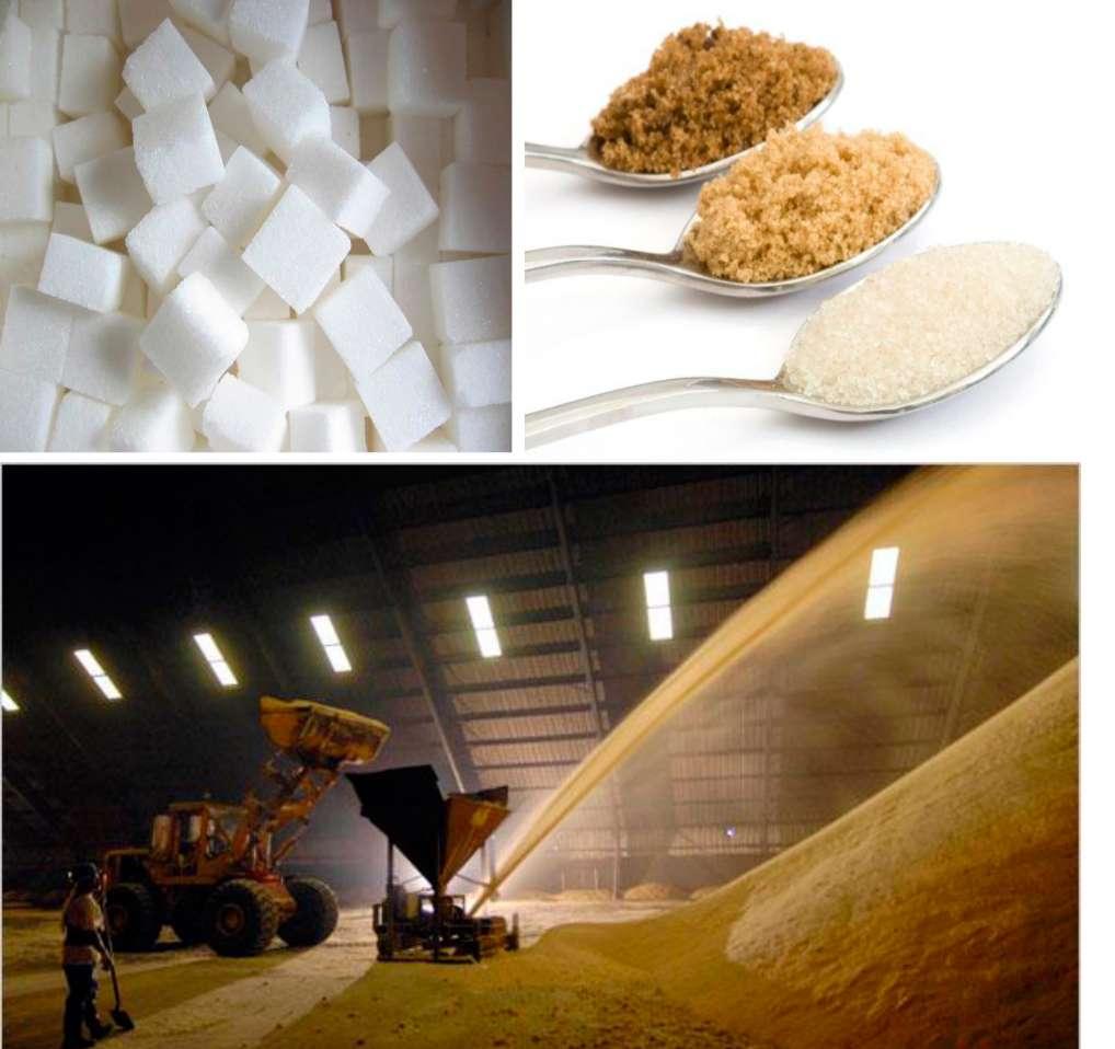 Required investment 9 million USD Investment proposal Form of Debt financing (credit) cooperation Investment targets Purpose of Construction of new sugar plant.