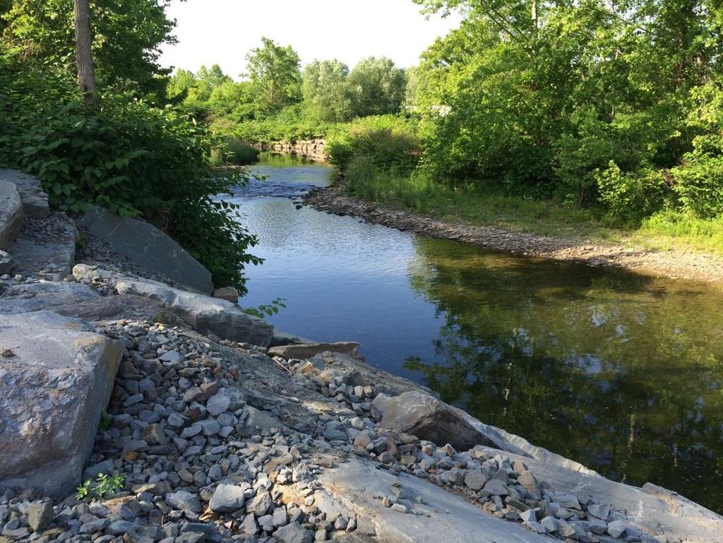 Purpose To enhance stream corridor stewardship and create a vision for