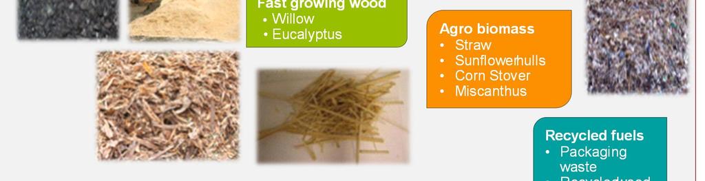Willow Eucalyptus Agro biomass Straw Sunflowerhulls Corn Stover