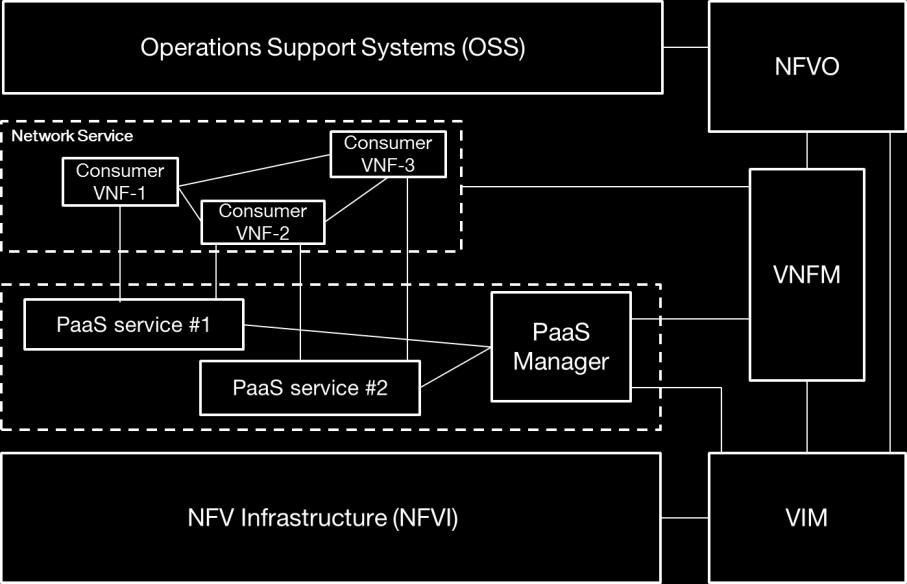 VNFs a new type of NFVI resources a new