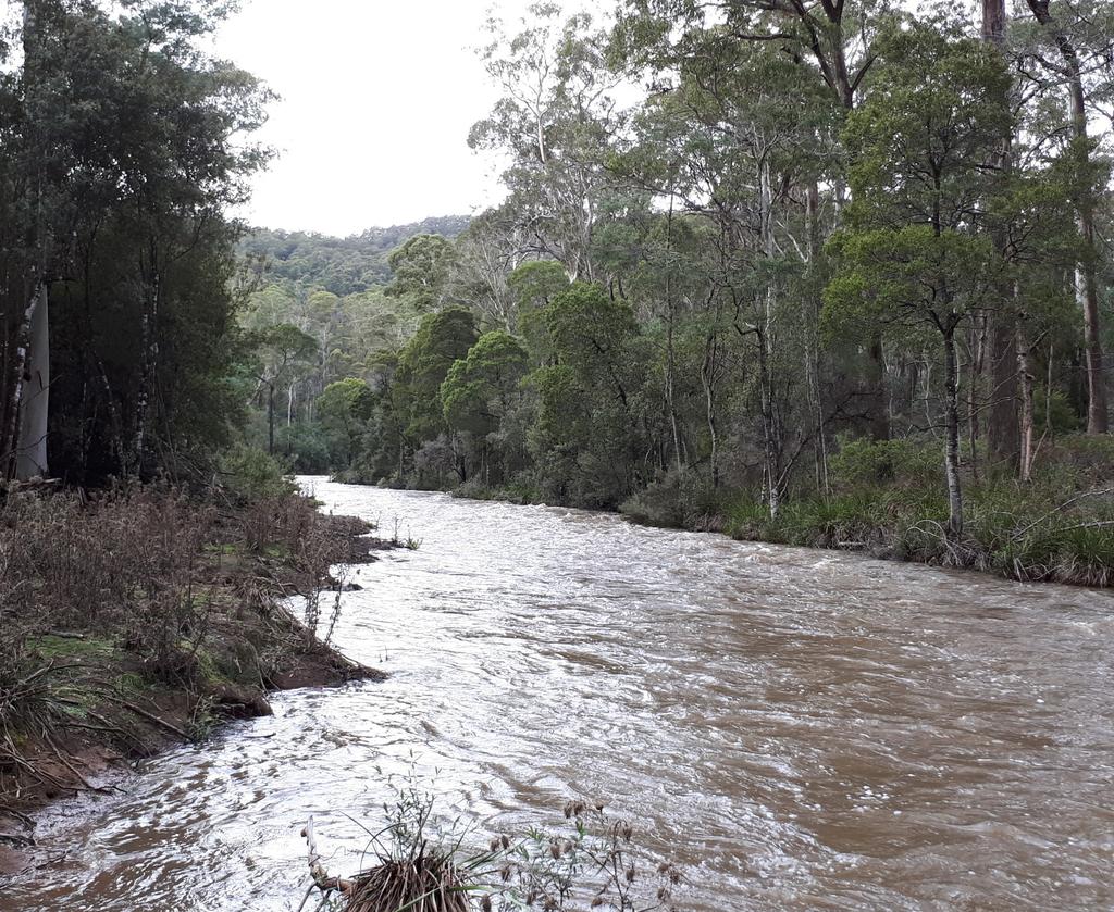 Water The forests that RMS manages in Australia are subject to the Tasmanian Forest Practices Code, which includes guidance and requirements for harvesting in areas at risk of soil erosion, as well