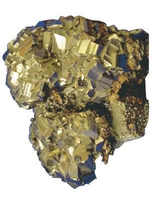 Sulfides Pyrites contain the disulfide ion, S 2 2, the sulfur analog of peroxide. It is found in minerals like iron pyrite (fool s gold).